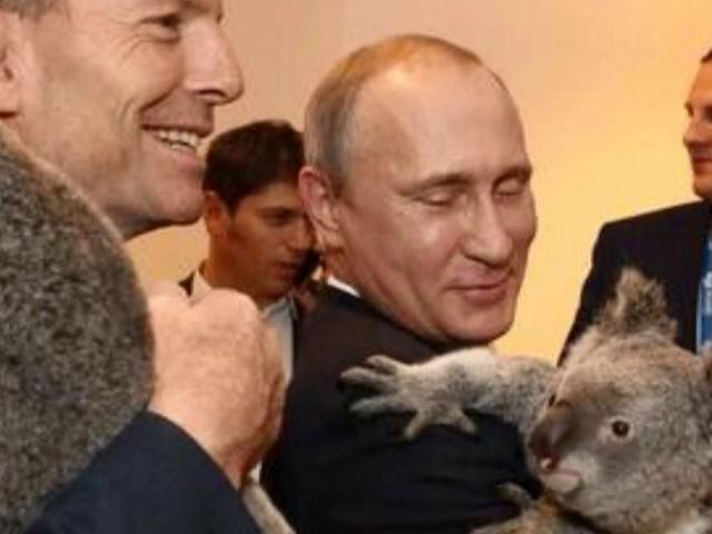 Лидеры G20 фотографировались с коалами