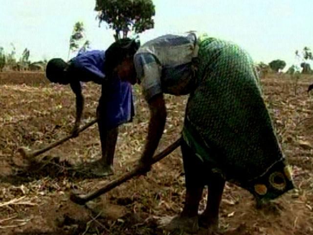 36 млн человек в мире живут в рабстве, — исследование 36 млн человек в мире живут в рабстве, — исследование