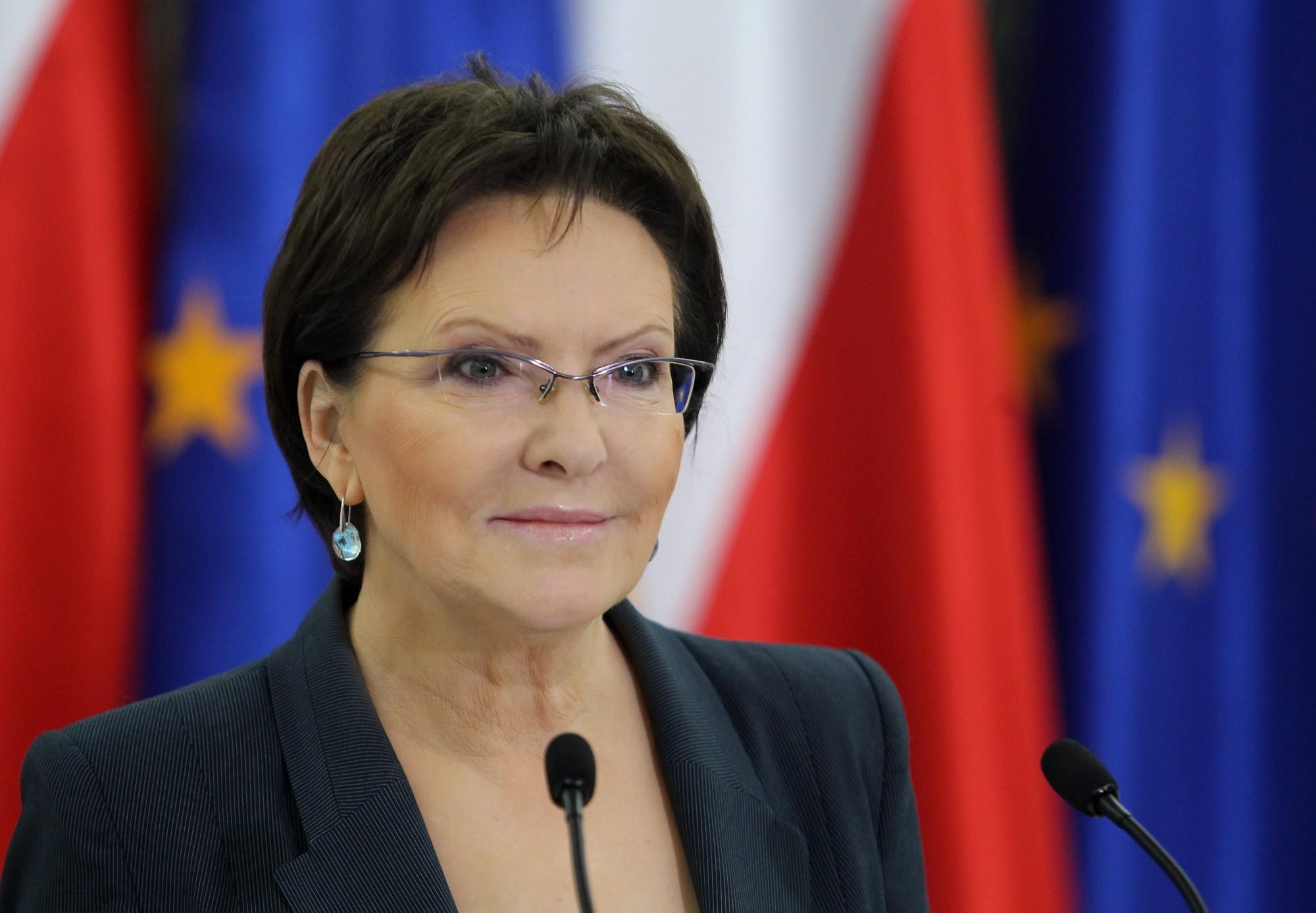 Польша и Норвегия помогут стабилизировать ситуацию на Донбассе