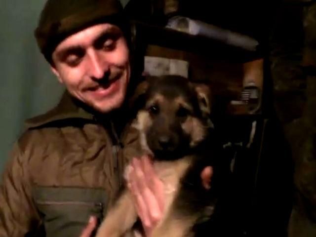 Життя на передовій: бійці показали побут в окопах та цуценя-розвідника Життя на передовій: бійці показали побут в окопах та цуценя-розвідника