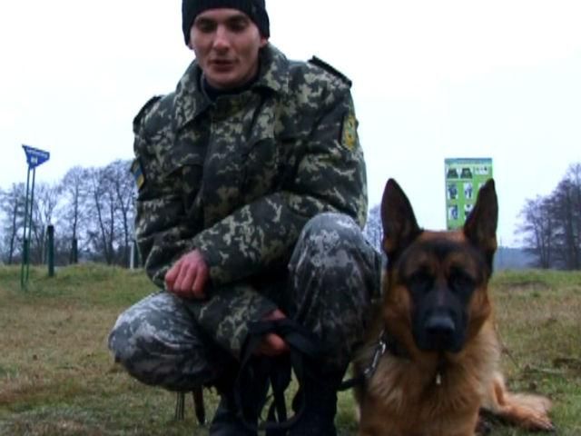 Четырехлапые герои. На Востоке рядом с бойцами воюют и собаки Четырехлапые герои. На Востоке рядом с бойцами воюют и собаки