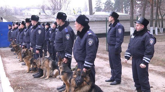 Охранять киевское метро отныне будут служебные собаки