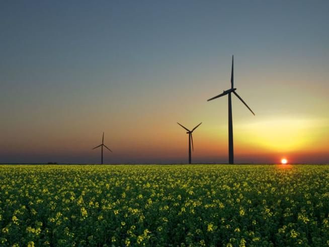 Украина последняя в рейтинге привлекательности для развития "зеленой" энергетики