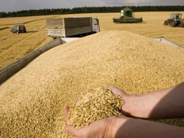 Україна вже експортувала понад 14 млн тонн зернових