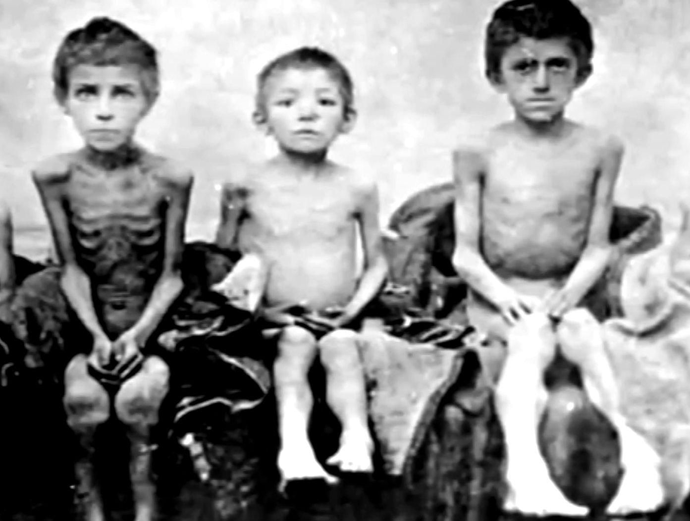 Голодомор. Хронология трагедии Голодомор. Хронология трагедии