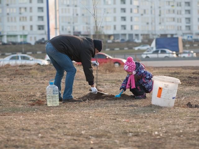 Кияни посадили дерева на місці заворушень на Осокорках