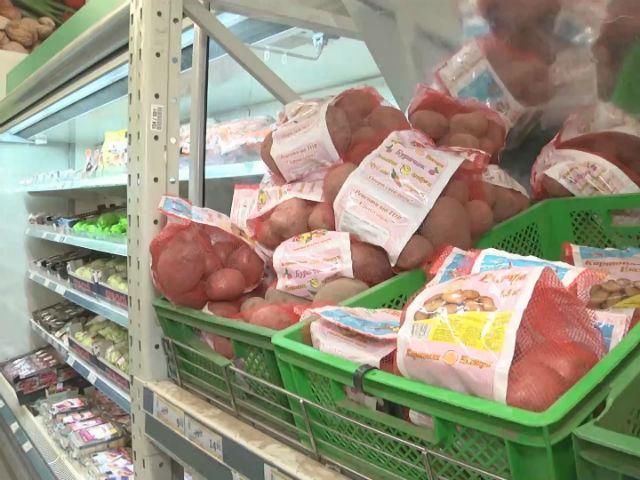 Рекордний врожай картоплі не приніс прибутків аграріям Рекордний врожай картоплі не приніс прибутків аграріям