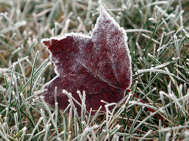 Сьогодні в Україні посиляться морози Сьогодні в Україні посиляться морози