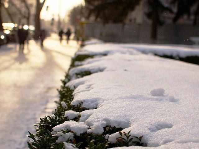 27 листопада в Україні очікується невеликий сніг