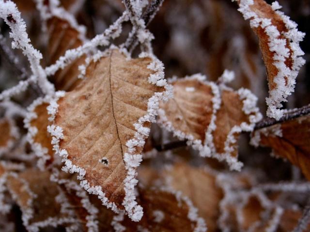 На выходные в Украине удержится мороз На выходные в Украине удержится мороз