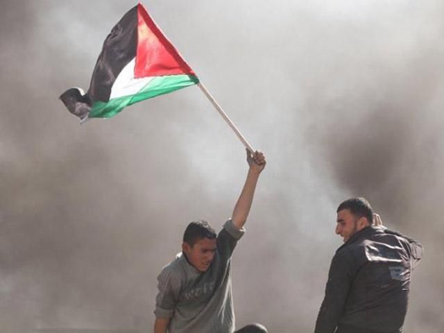 Национальное собрание Франции признали Палестинское государство
