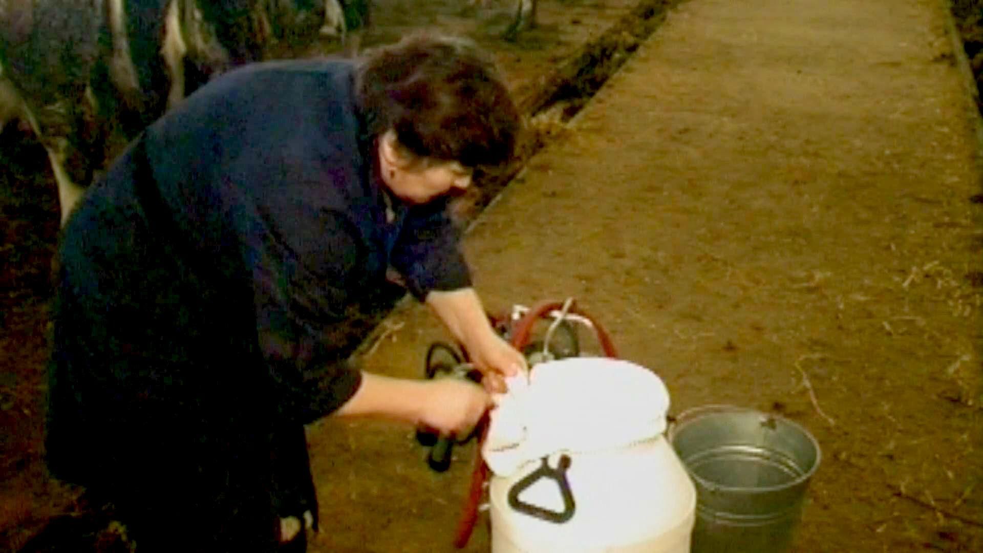 Агроновини. Перспективи молочного ринку на наступний рік Агроновини. Перспективи молочного ринку на наступний рік