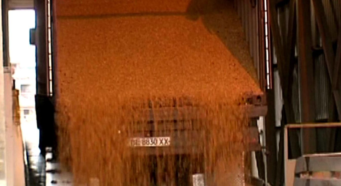 Агроновости. Потери агробизнеса из-за событий на Востоке Агроновости. Потери агробизнеса из-за событий на Востоке