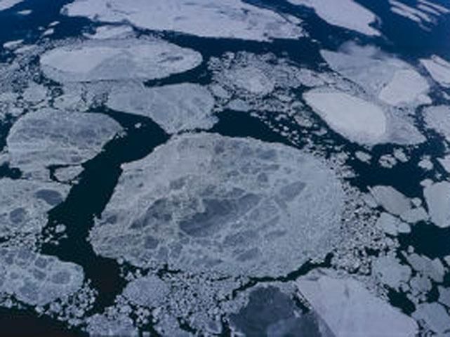 У Беринговому морі затонуло судно: рятувальники знайшли 27 тіл У Беринговому морі затонуло судно: рятувальники знайшли 27 тіл