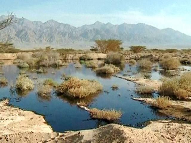 В Ізраїлі вибухнув нафтопровід. Понад 80 людей постраждали В Ізраїлі вибухнув нафтопровід. Понад 80 людей постраждали