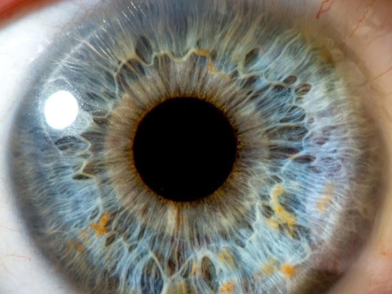 Людське око здатне бачити інфрачервоне світло