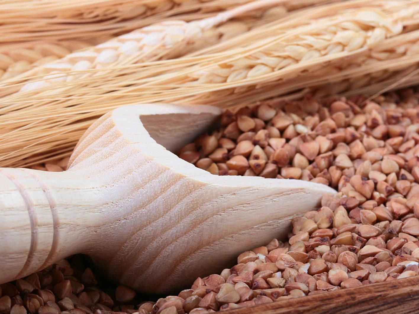 Врожай гречки в Україні перевищив річне споживання Врожай гречки в Україні перевищив річне споживання