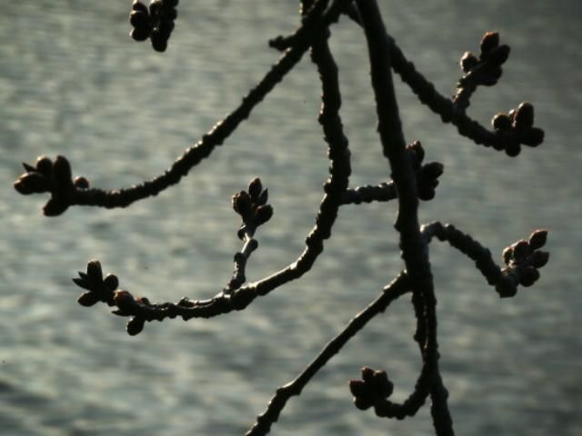 В Украину идет тепло - 15 декабря 2014 - Телеканал новин 24 В Украину идет тепло - 15 декабря 2014 - Телеканал новин 24