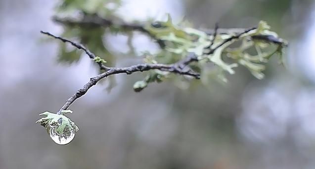 Сегодня в Украине — тепло и влажно