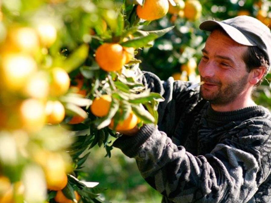 Абхазія відправить терористам іграшки та мандарини