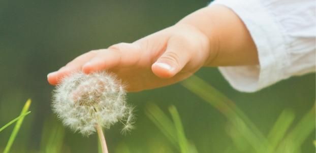 Більше 70 тисяч українців вже об'єдналися навколо проекту "Samsung. Надія для дітей" Більше 70 тисяч українців вже об'єдналися навколо проекту "Samsung. Надія для дітей"