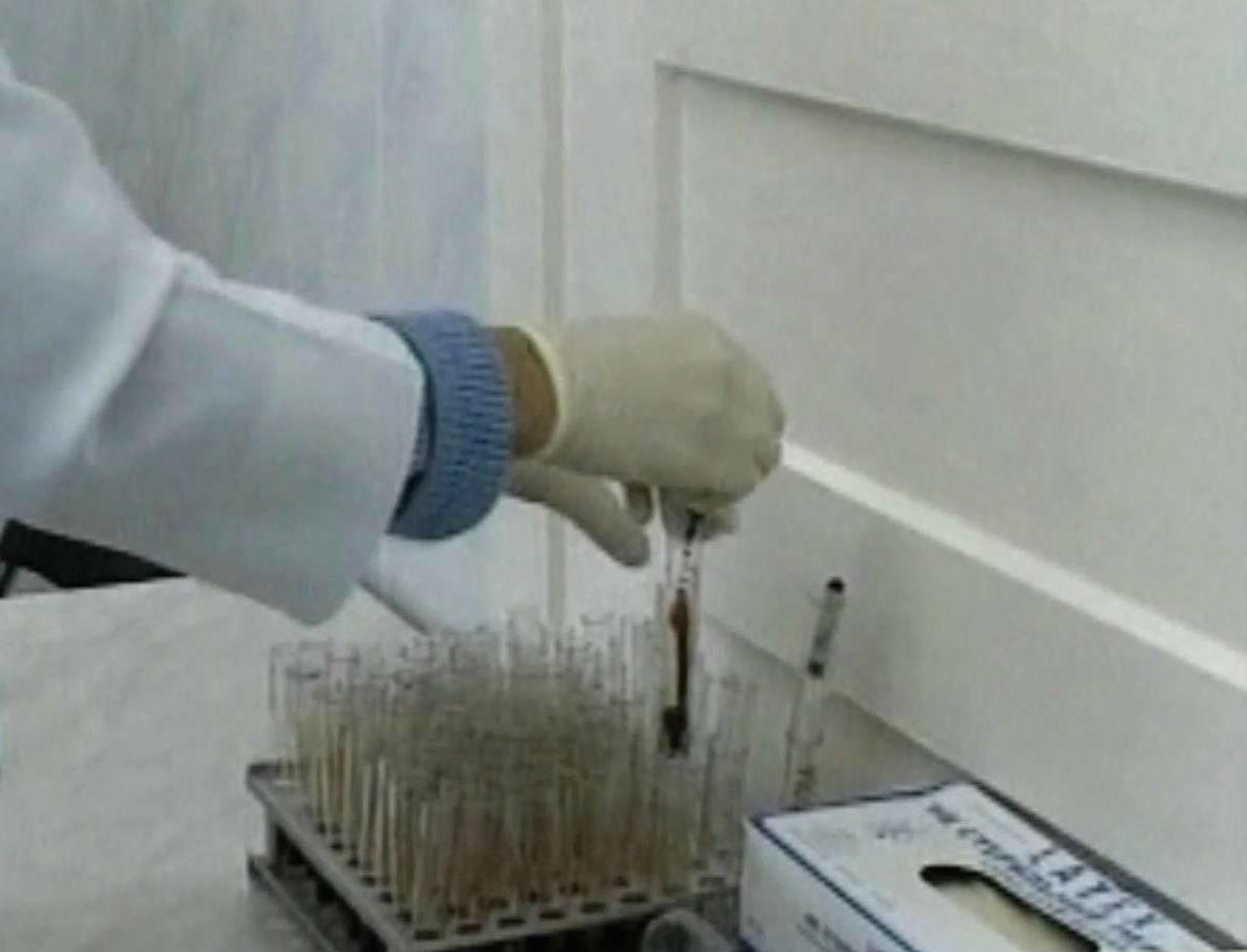 Лінія життя. Група крові впливає на характер та темперамент Лінія життя. Група крові впливає на характер та темперамент