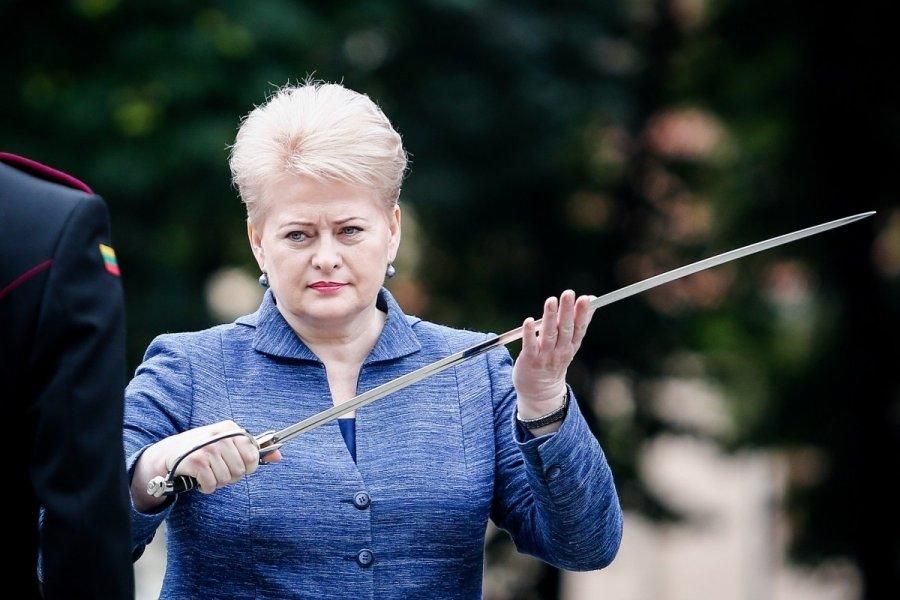 Грибаускайте отказалась ехать в Москву на празднование 70-летия Победы Грибаускайте отказалась ехать в Москву на празднование 70-летия Победы