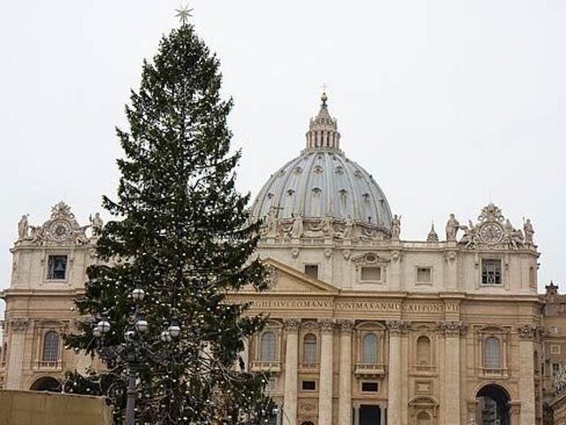 Католический Сочельник в Украине будет теплым и ветреным Католический Сочельник в Украине будет теплым и ветреным