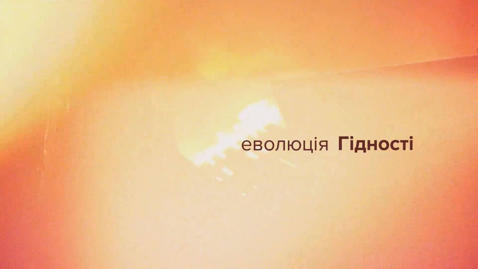 Хроніка 25 грудня 2013 року. Побиття Тетяни Чорновол