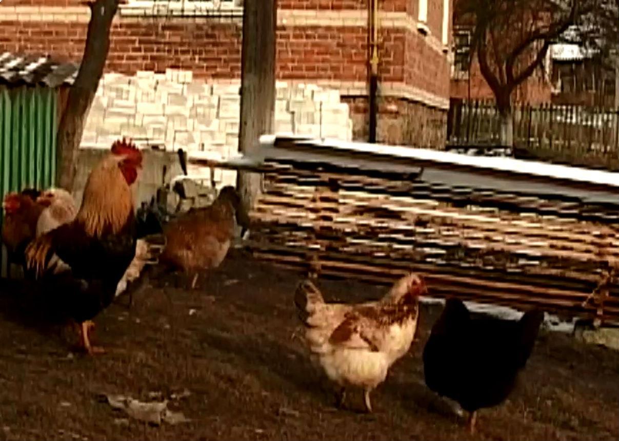 Агроновости. Убийственная для села норма закона будет отменена Агроновости. Убийственная для села норма закона будет отменена