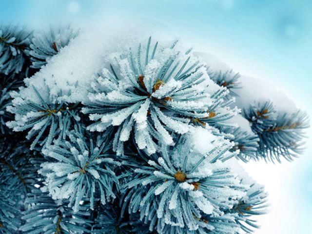 На Новый год в Украину придут сильные морозы