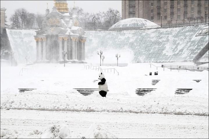 У КМДА кажуть, що цього разу зазделегідь підготувалися до снігопадів У КМДА кажуть, що цього разу зазделегідь підготувалися до снігопадів