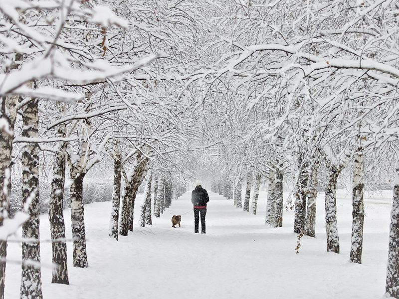 Сьогодні в Україні дещо послабшають снігопади