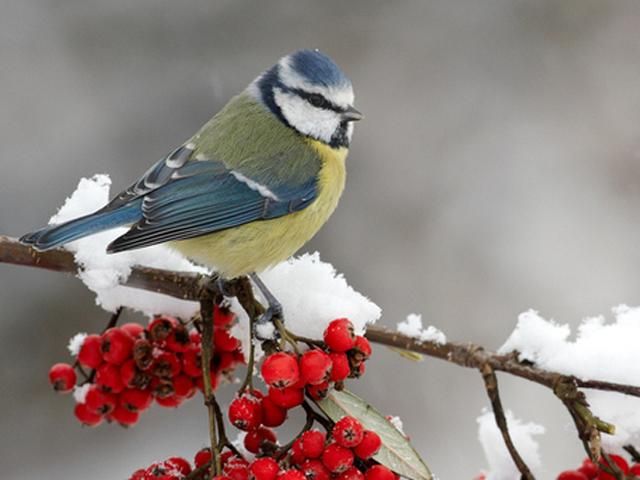 На вихідних в Україні буде тепло й волого На вихідних в Україні буде тепло й волого