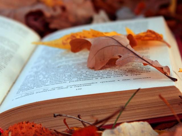 Що цікавого у книжковому світі за 2014 рік Що цікавого у книжковому світі за 2014 рік