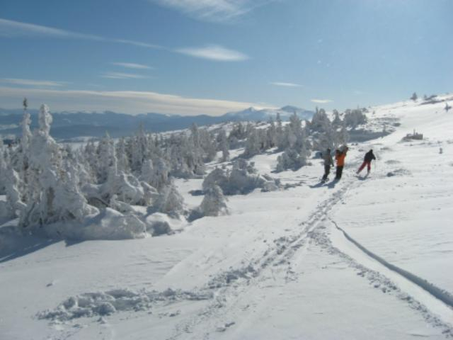 В Карпатах нашли туристов, которые заблудились во время мощной снежной бури