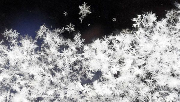 По Україні оголошено штормове попередження
По Україні оголошено штормове попередження