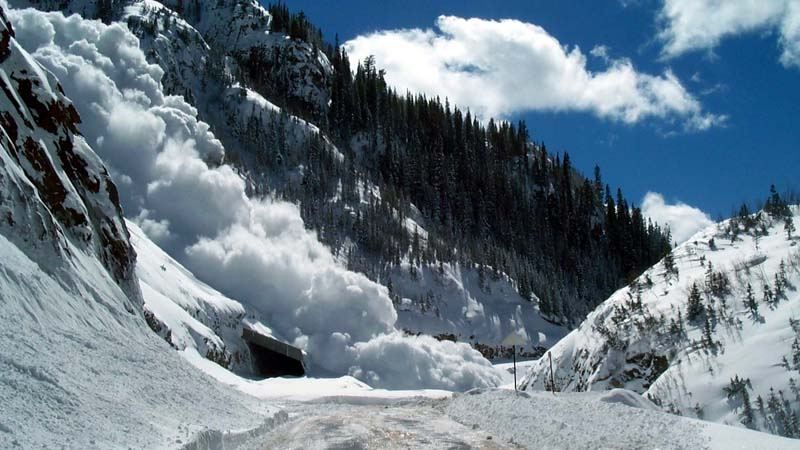 На Закарпатье сошли лавины На Закарпатье сошли лавины