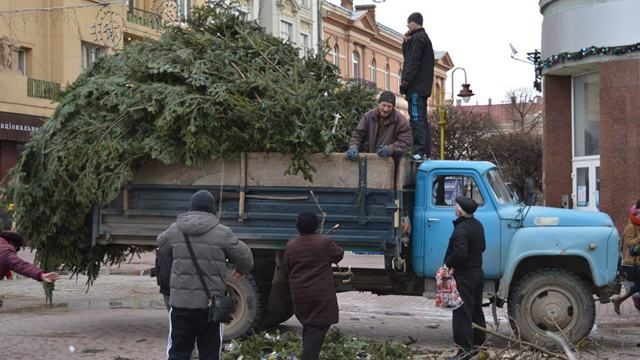 Івано-Франківськ залишиться без новорічної ялинки