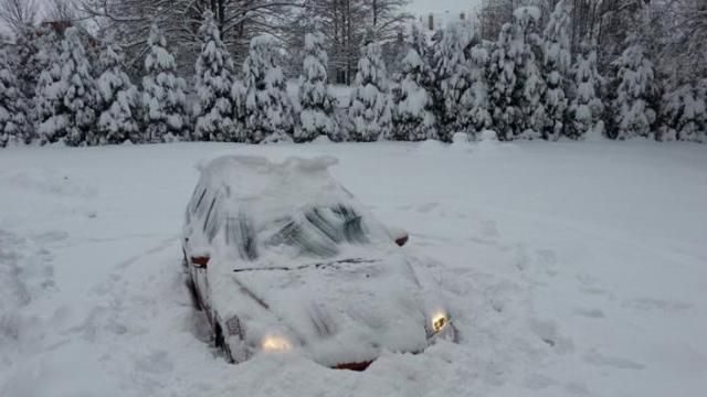 У Польщі лютує негода: понад 200 тисяч будинків – без світла, 12 людей постраждало