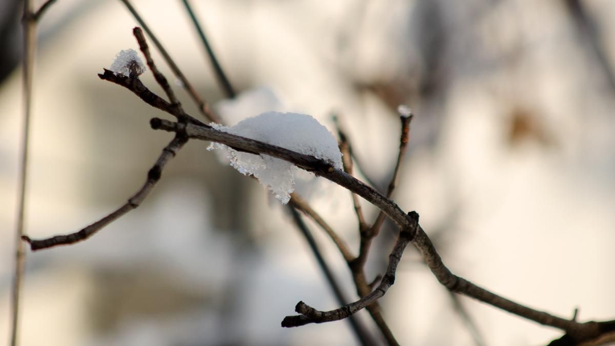 Неделя принесет тепло в Украину Неделя принесет тепло в Украину