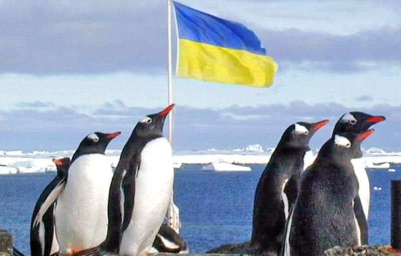 Україні вистачить грошей, аби забрати полярників зі станції "Академік Вернадський" Україні вистачить грошей, аби забрати полярників зі станції "Академік Вернадський"