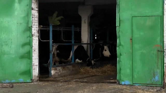 В Україні занепадає сільське господарство В Україні занепадає сільське господарство