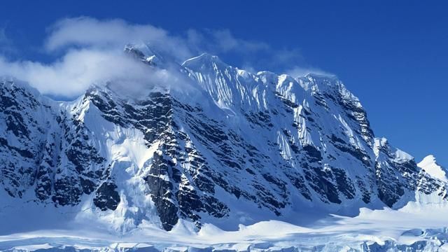 Пропавшие в Антарктиде российские депутаты вышли на связь