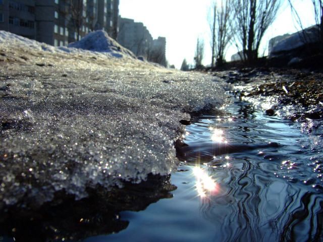 В Киеве — рекордно теплая погода