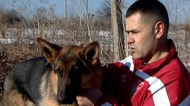 На Миколаївщині волонтери дресирують бойових собак для АТО