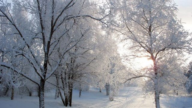16 січня в Україні похолодає до 10 градусів морозу