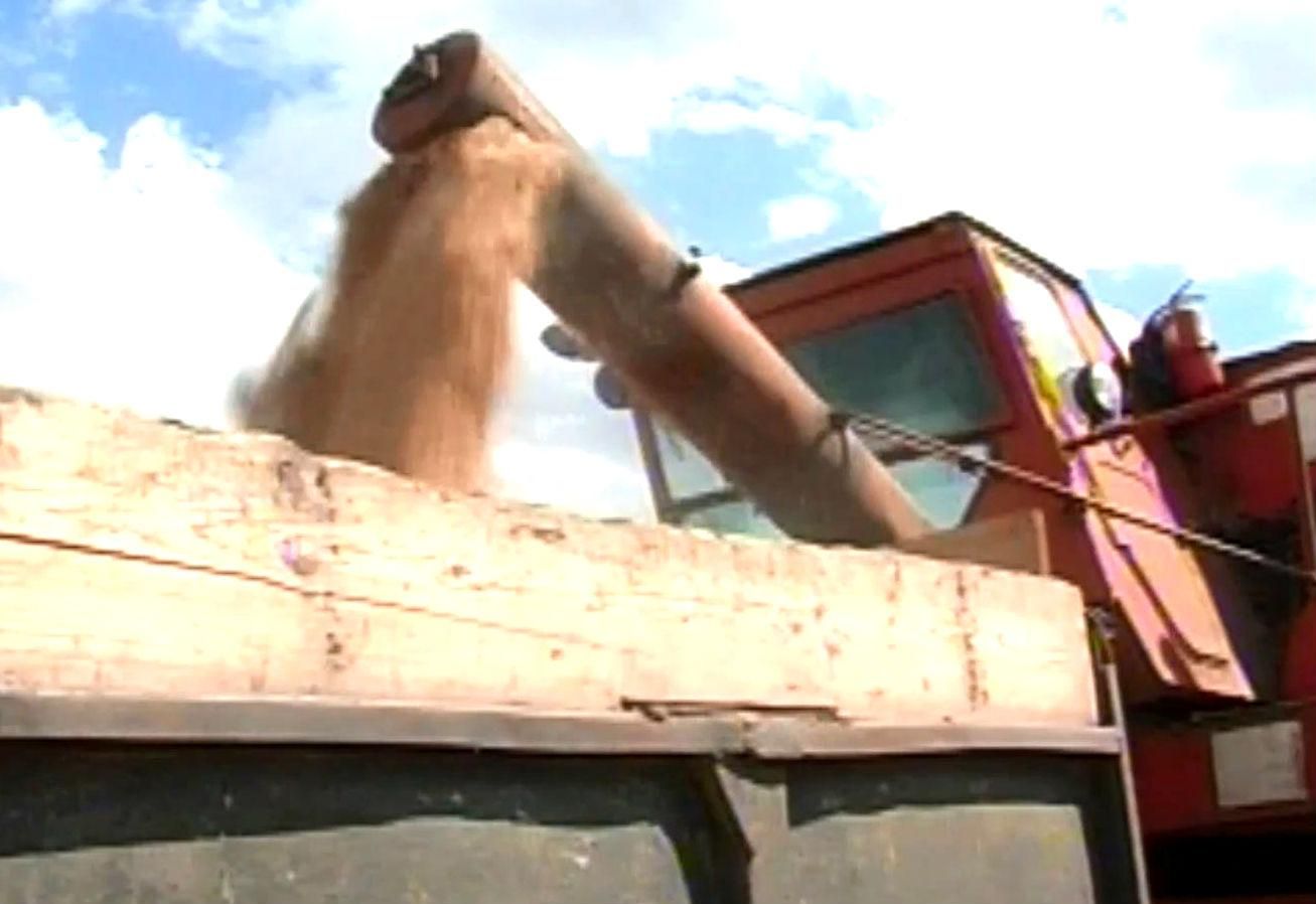 Агроновости. Аграрии будут сеять в жестких условиях Агроновости. Аграрии будут сеять в жестких условиях