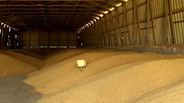 Агроновости. Перспективы аграрного рынка Украины в разных странах Агроновости. Перспективы аграрного рынка Украины в разных странах