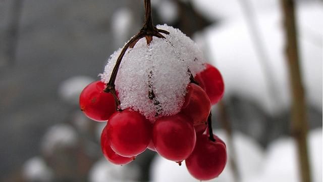 21 января в Украину придут осадки 21 января в Украину придут осадки